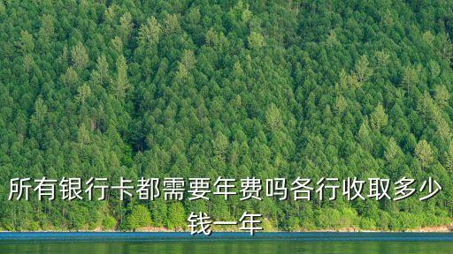 所有銀行卡都需要年費(fèi)嗎各行收取多少錢一年