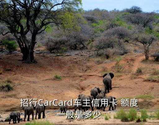 招行CarCard車主信用卡 額度一般是多少