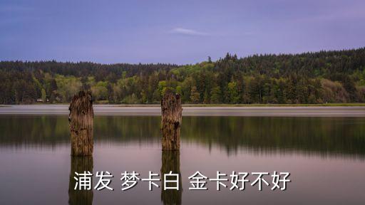 浦發(fā) 夢卡白 金卡好不好