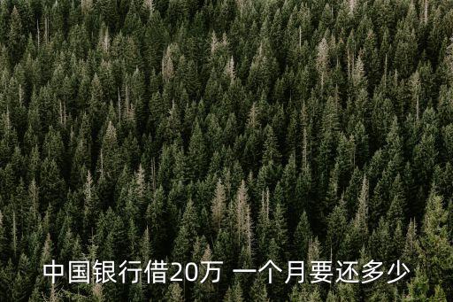 中國銀行借20萬 一個(gè)月要還多少