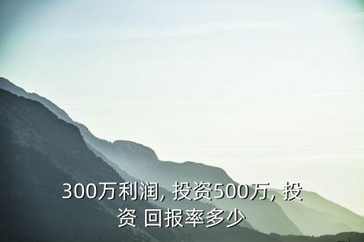300萬利潤, 投資500萬, 投資 回報率多少