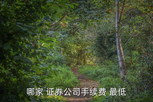哪家 證券公司手續(xù)費 最低