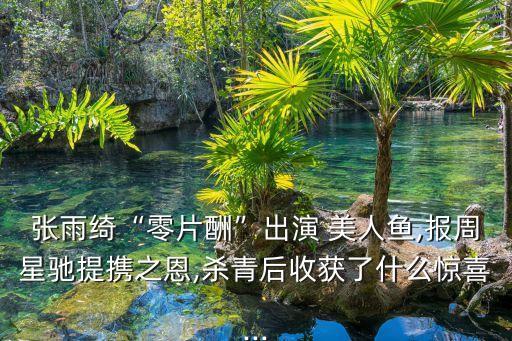張雨綺“零片酬”出演 美人魚,報周星馳提攜之恩,殺青后收獲了什么驚喜...