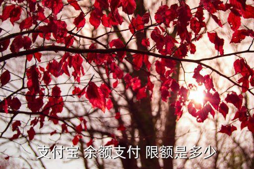 支付寶 余額支付 限額是多少
