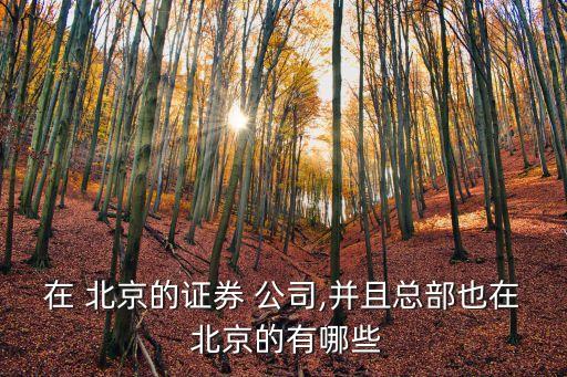 在 北京的證券 公司,并且總部也在 北京的有哪些