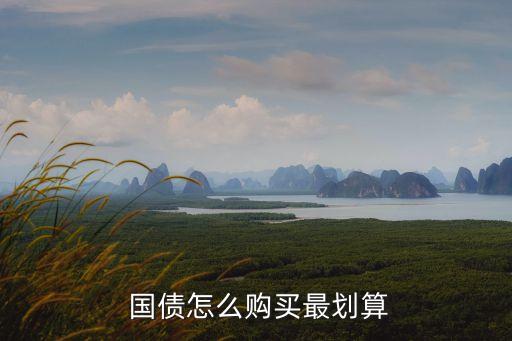  國債怎么購買最劃算