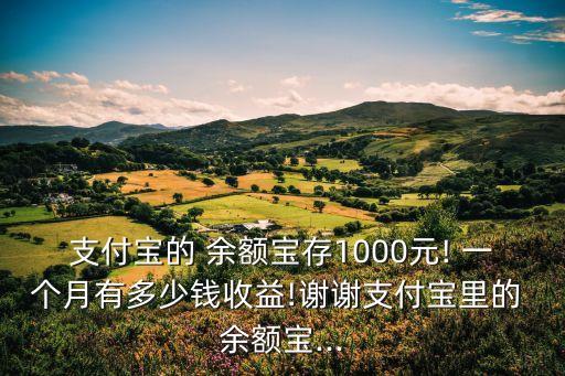 支付寶的 余額寶存1000元! 一個(gè)月有多少錢收益!謝謝支付寶里的 余額寶...