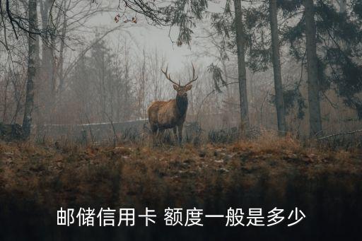 郵政的標(biāo)準(zhǔn)金卡額度是多少,郵政標(biāo)準(zhǔn)金卡額度9000
