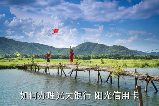 visa陽(yáng)光商旅金卡額度是多少,光大visa陽(yáng)光商旅信用卡額度1000