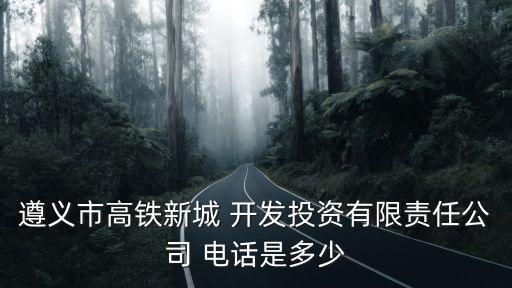 遵義市高鐵新城 開發(fā)投資有限責(zé)任公司 電話是多少