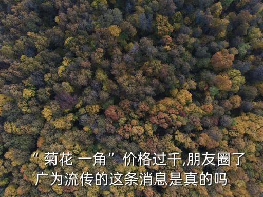 一個(gè)菊花一角值多少錢一張