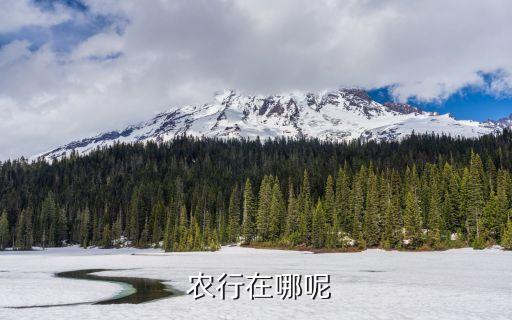 農(nóng)行貴州省多少個(gè)網(wǎng)點(diǎn),新民農(nóng)行共有多少個(gè)網(wǎng)點(diǎn)