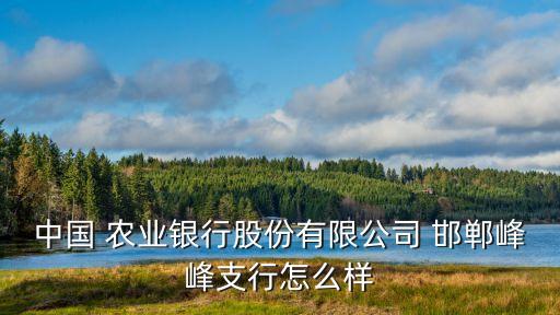 邯鄲農(nóng)業(yè)銀行分行電話是多少人,農(nóng)業(yè)銀行邯鄲分行金庫被盜