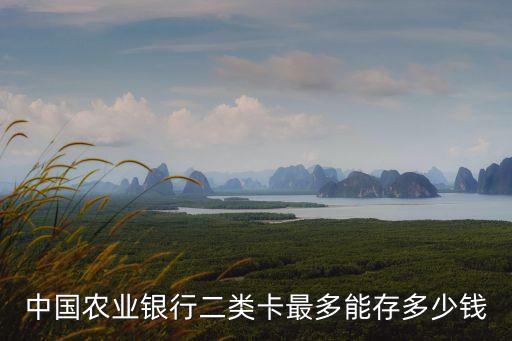 借記卡可存多少錢