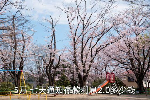 七天定存利率是多少錢