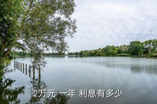 2萬元 一年 利息有多少