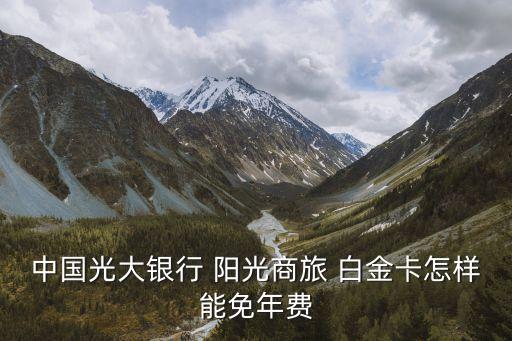新版陽(yáng)光白金信用卡年卡多少,光大陽(yáng)光商旅白金信用卡怎么樣