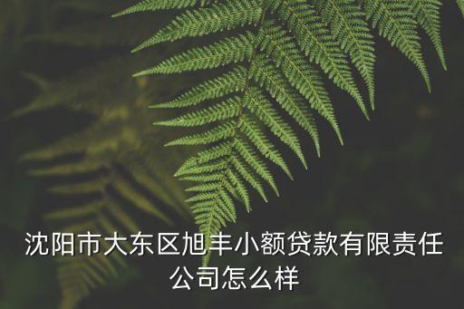 沈陽有多少家小貸公司,沈陽一共有多少家小超市