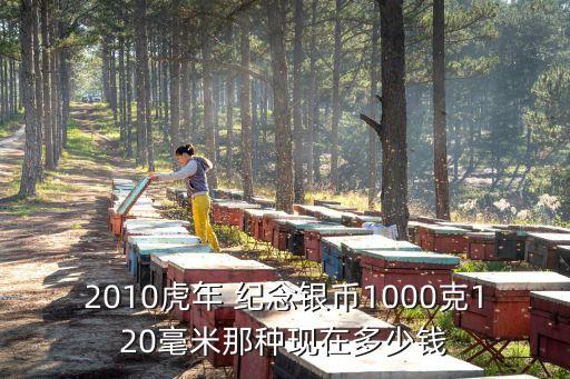 2010虎年 紀念銀幣1000克120毫米那種現(xiàn)在多少錢