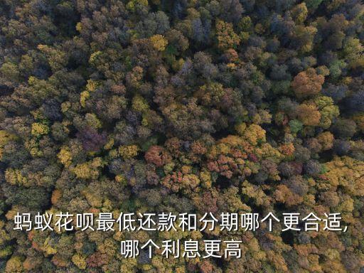 螞蟻花唄最低還款和分期哪個(gè)更合適,哪個(gè)利息更高