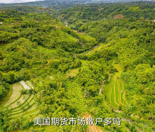 美國股民有多少,美國有散戶股民嗎