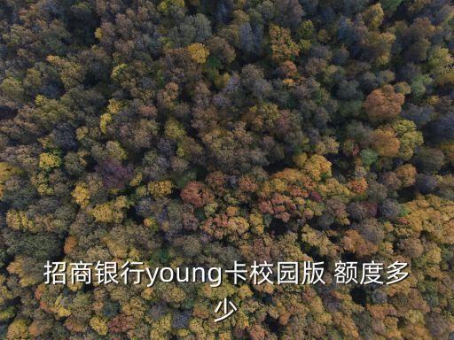 招商銀行young卡校園版 額度多少
