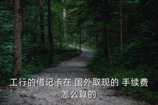 國外銀行取錢手續(xù)費(fèi)多少,桂林銀行在國外取錢要手續(xù)費(fèi)嗎