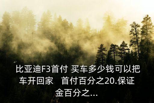  比亞迪F3首付 買車多少錢可以把車開回家   首付百分之20.保證金百分之...