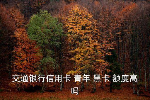 青年黑卡的初始額度是多少