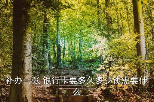 補張銀行卡要多少錢,補一模一樣的銀行卡號要多少錢