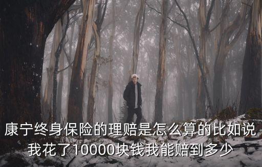 康寧終身保險(xiǎn)的理賠是怎么算的比如說我花了10000塊錢我能賠到多少
