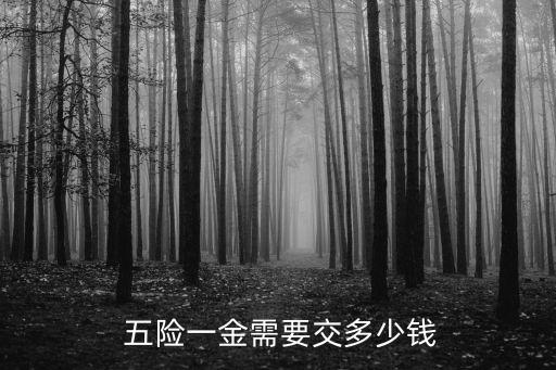  五險一金需要交多少錢