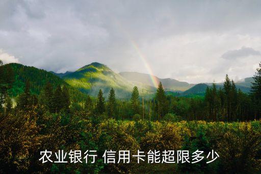 農(nóng)行綠鉆信用卡額度是多少,農(nóng)行私人銀行綠鉆信用卡年費