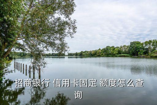 怎么招商查信用卡額度是多少,招商信用卡初審過了能查到額度嗎
