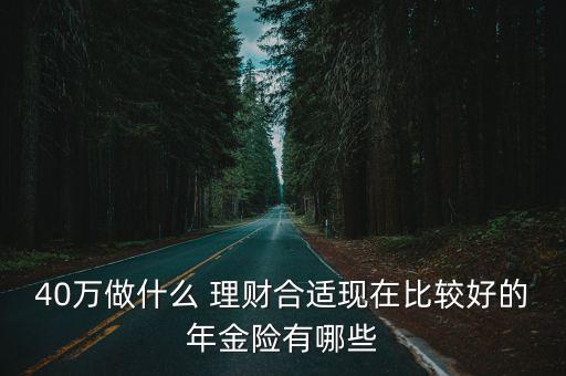 40萬做什么 理財合適現(xiàn)在比較好的年金險有哪些