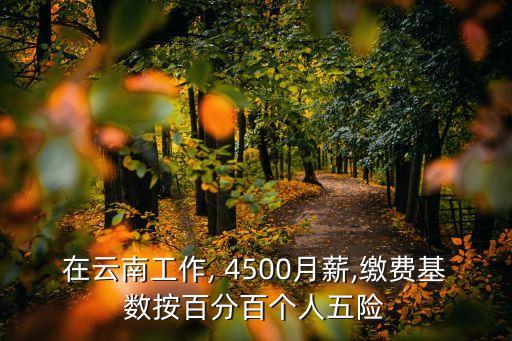 在云南工作, 4500月薪,繳費(fèi)基數(shù)按百分百個(gè)人五險(xiǎn)