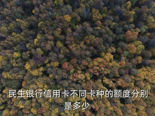  民生銀行信用卡不同卡種的額度分別是多少