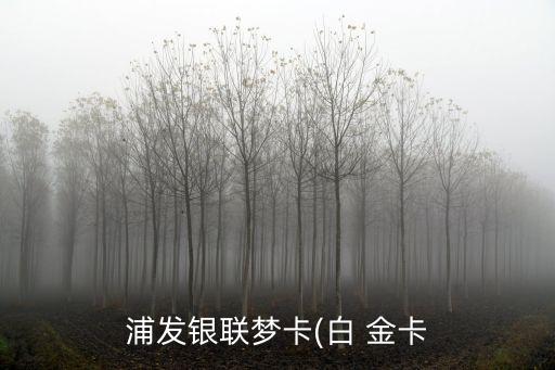 夢(mèng)卡白金卡額度是多少錢(qián),夢(mèng)卡經(jīng)典白金卡最低額度