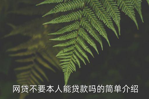 不需要身份證的網(wǎng)貸額度多少,網(wǎng)貸填擔(dān)保人不需要身份證嗎