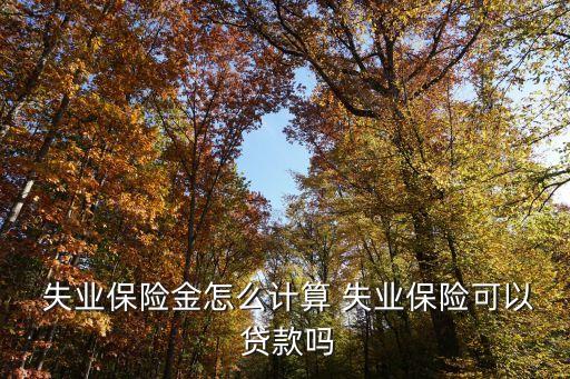 失業(yè)能申請多少貸款,申請失業(yè)貸款需要什么條件