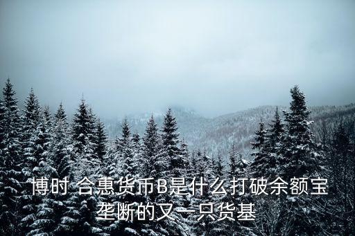  博時(shí) 合惠貨幣B是什么打破余額寶壟斷的又一只貨基