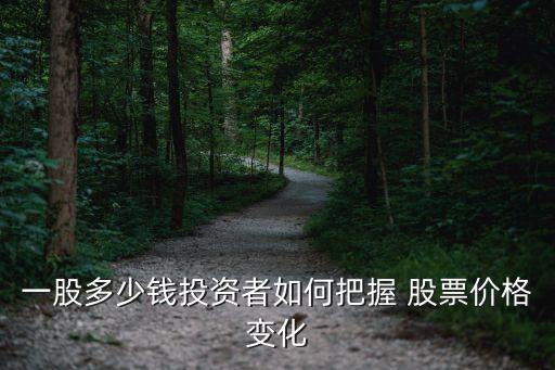 一股多少錢投資者如何把握 股票價格變化