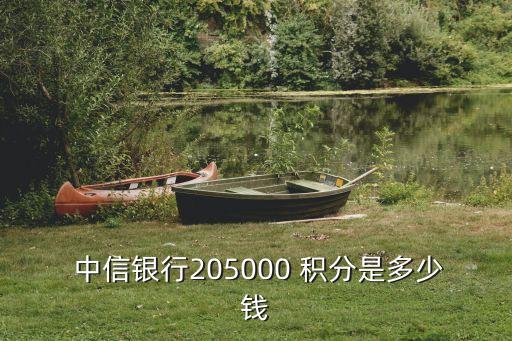  中信銀行205000 積分是多少錢
