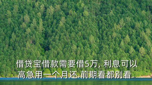 借貸寶借錢利息多少錢,個(gè)人借貸利息多少合法
