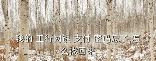 我的 工行網(wǎng)銀 支付 密碼忘了,怎么找回來