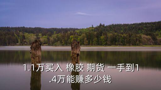 日本橡膠期貨一手多少,橡膠期貨一手賺100點(diǎn)多少錢