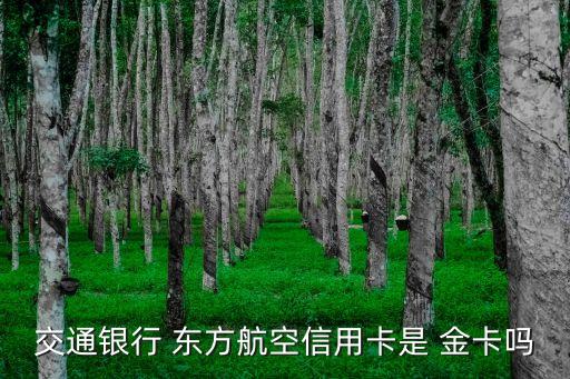 有車東方航空金卡額度是多少,東方航空金卡托運(yùn)行李額度
