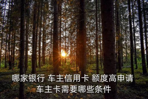 二十萬的車能辦建行車主卡多少額度