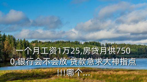 一個(gè)月工資1萬(wàn)25,房貸月供7500,銀行會(huì)不會(huì)放 貸款急求大神指點(diǎn)!!!哪個(gè)...