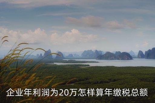 上稅20萬稅前多少,100萬繳多少